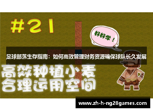 足球部落生存指南:如何高效管理财务资源确保球队长久发展 足球部落生存指南:如何高效管理财务资源确保球队长久发展