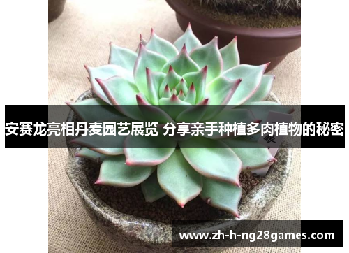 安赛龙亮相丹麦园艺展览 分享亲手种植多肉植物的秘密 安赛龙亮相丹麦园艺展览 分享亲手种植多肉植物的秘密