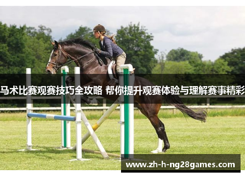 马术比赛观赛技巧全攻略 帮你提升观赛体验与理解赛事精彩